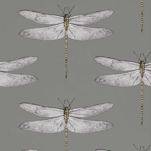 Demoiselle 111242